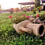 Guest house Antiche Dimore San Felice 3*
