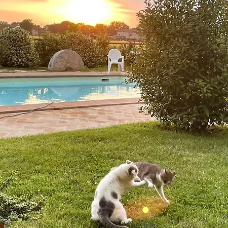 בית הארחה Antiche Dimore San Felice ספלו